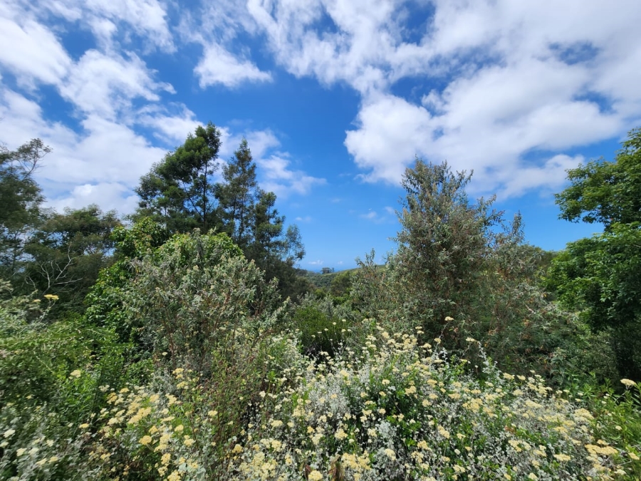 Commercial Property for Sale in Wilderness Heights Western Cape